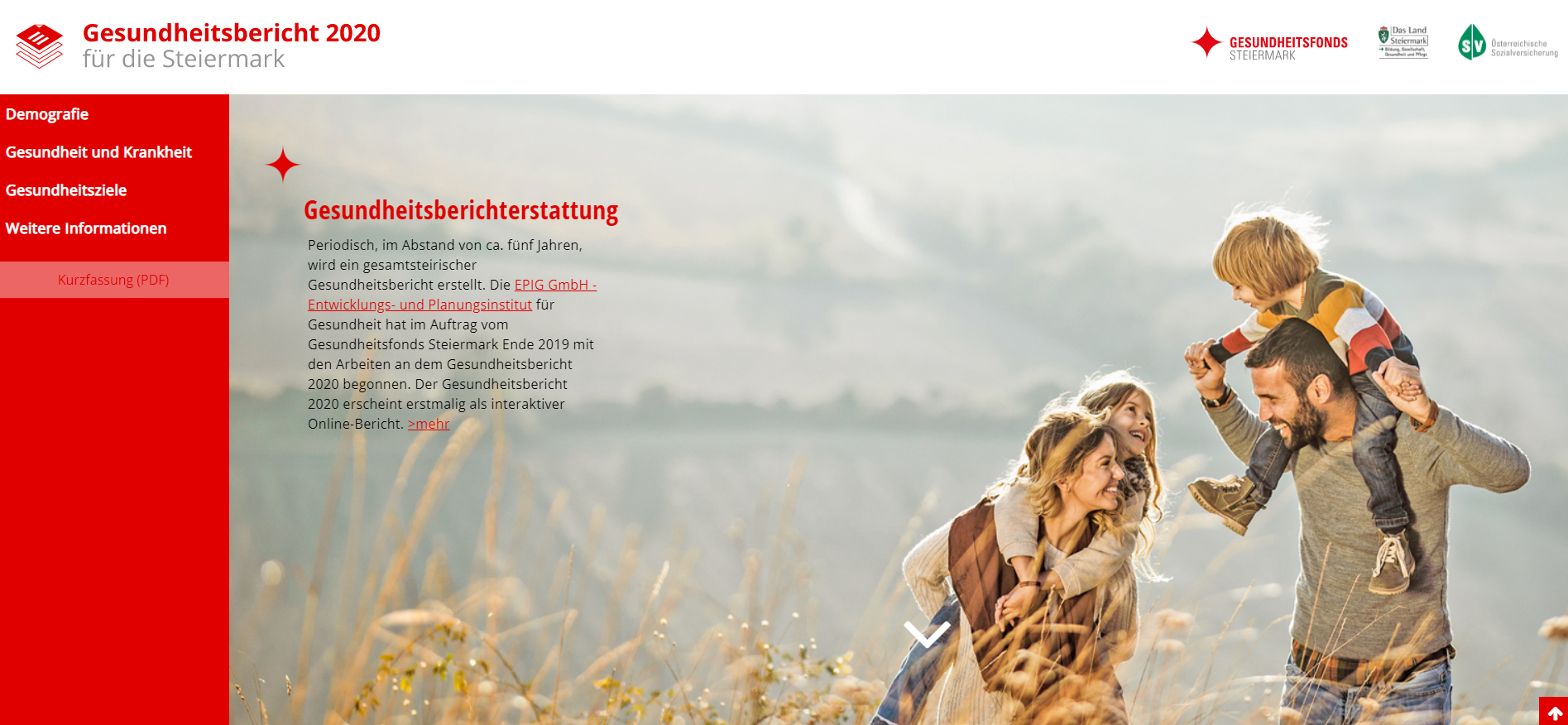 Gesundheitsbericht Steiermark